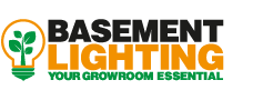 Basement Lighting